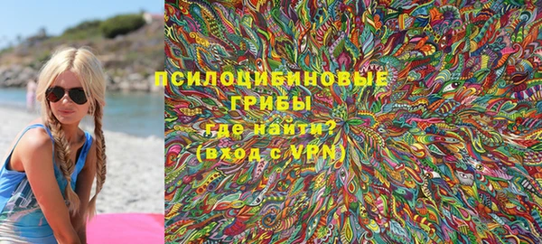 PSILOCYBIN Волосово
