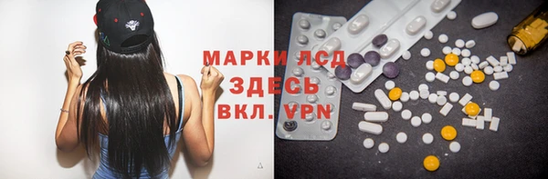 PSILOCYBIN Волосово