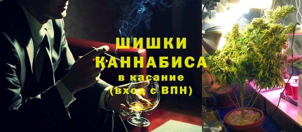 PSILOCYBIN Волосово