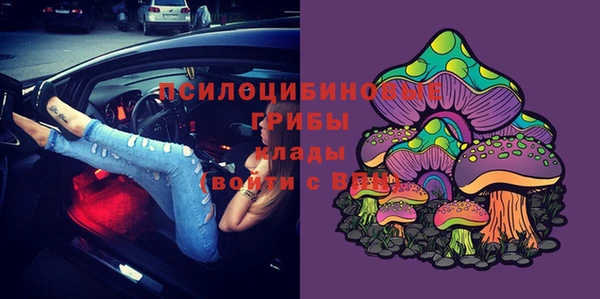 PSILOCYBIN Волосово