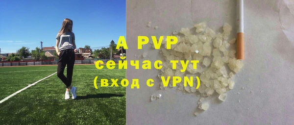 PSILOCYBIN Волосово