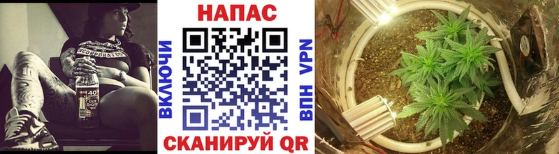 Купить где  Малмыж  Каннабис тримм 